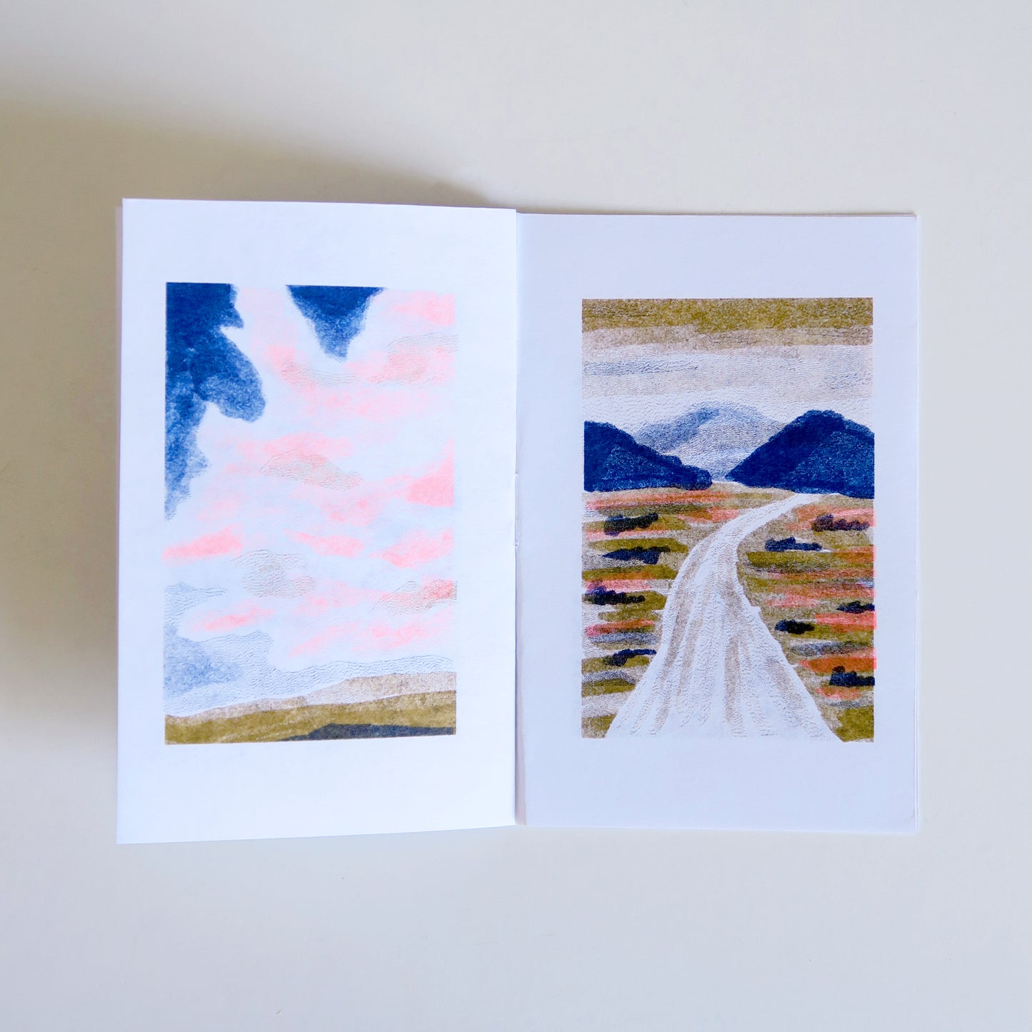 "Colorscapes" Mini Riso Printed Zine