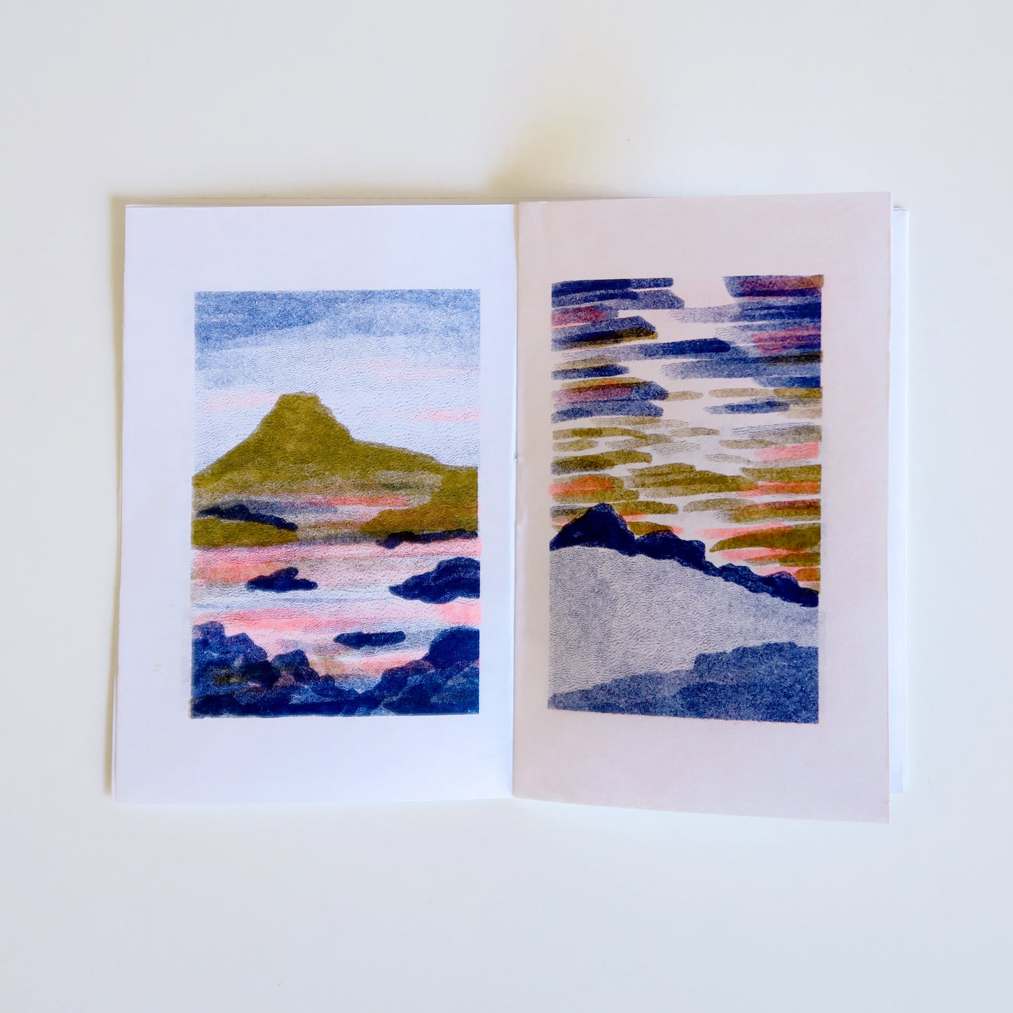 "Colorscapes" Mini Riso Printed Zine